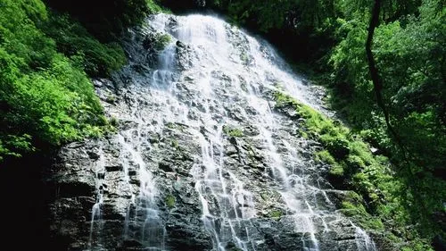 节能节能节能
